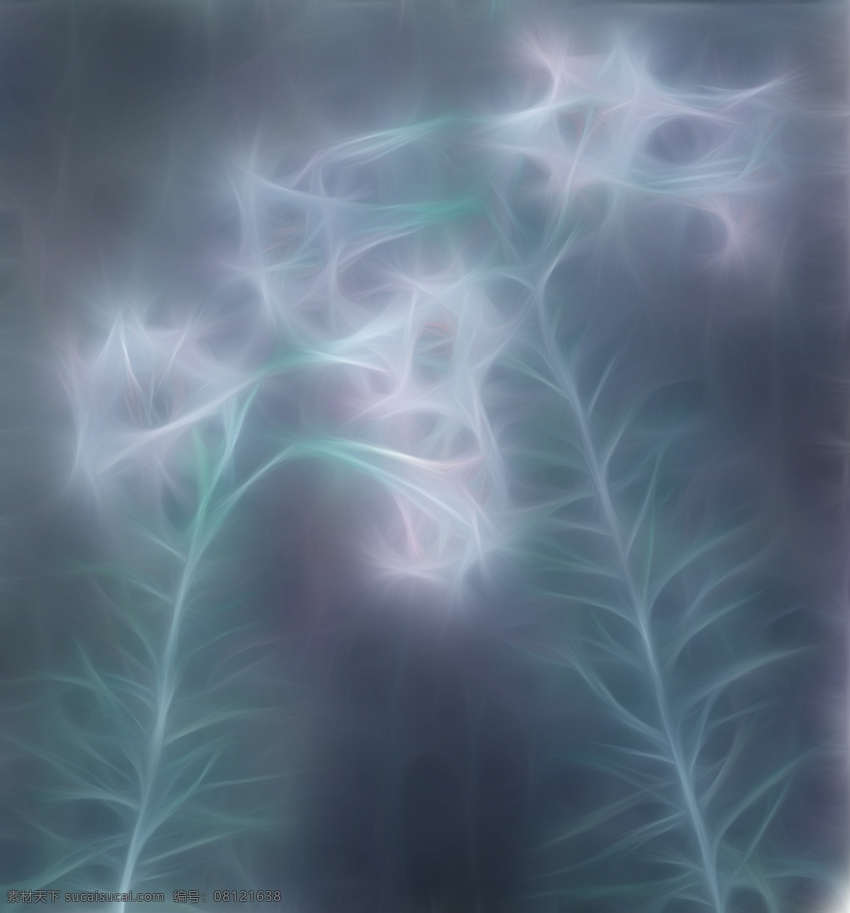 花纹 背景 花 花卉 绘画 无框画 小白花 叶子 小喇叭花 装饰素材