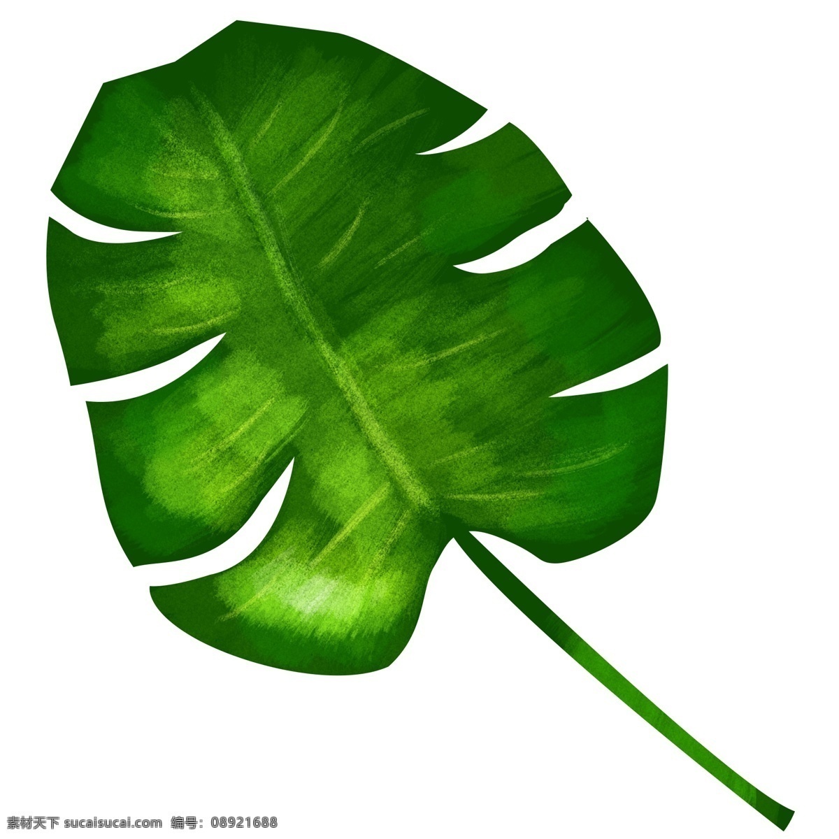 绿色 芭蕉 叶子 插画 绿色的叶子 芭蕉的叶子 卡通插画 叶子插画 树叶插画 花叶插画 植物插画