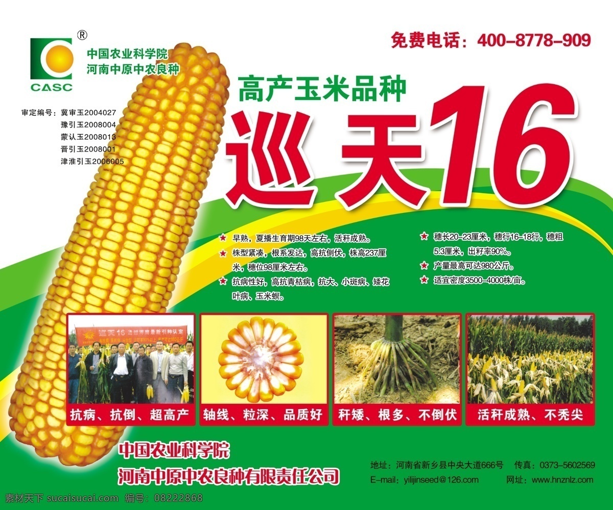 巡天 分层 玉米 源文件 巡天16 玉米种 中国农业科学院 高产玉米种 中农中良 矢量图 日常生活