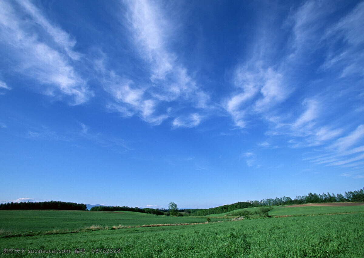 田野风光 天空 蓝天 白云 绿树 麦田 田野 自然景观 自然风景