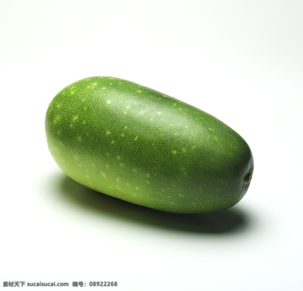 小冬瓜 冬瓜 菜瓜 蔬菜 高清冬瓜 生物世界