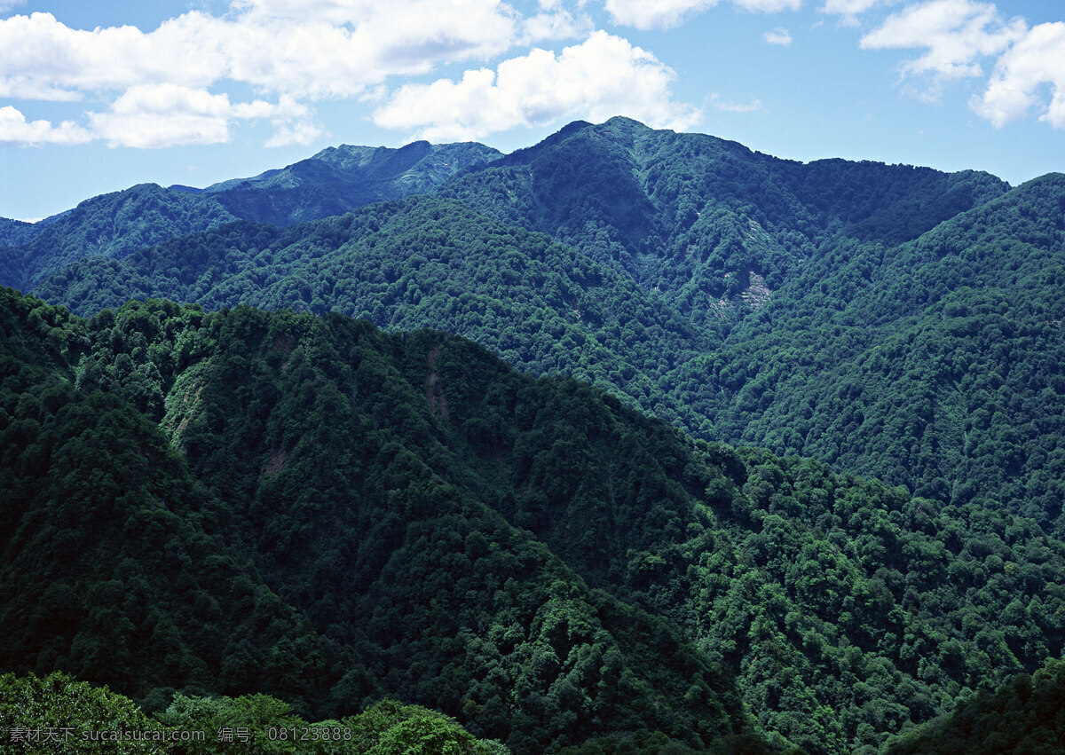 绿色群山 晨雾 村庄 风景 风景背景 风景画 河流 湖泊 湖景 湖面 湖畔 山 山水风景 山峰 山水背景 山水风光 山坡 绿色背景 绿叶 绿草地 绿树 树木 树木大树 山林 森林 森林风景 森林公园 森林背景 景色 山景 秋天风景 自然风景 自然风光 自然景色 雾气 雾中的山 梯田 湖水风景 蓝天白云 花纹背景 花瓣 花草 花卉 花藤 蓝天草地 蓝天大海 野外 野外风景 夕阳风景 溪水 家居装饰素材 山水风景画