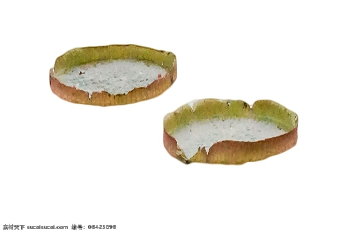 美丽 荷花 超大型 睡莲 亚马逊 王 莲 种子 莲藕霸王莲 一种种植技术 水生花卉 培养莲花苗