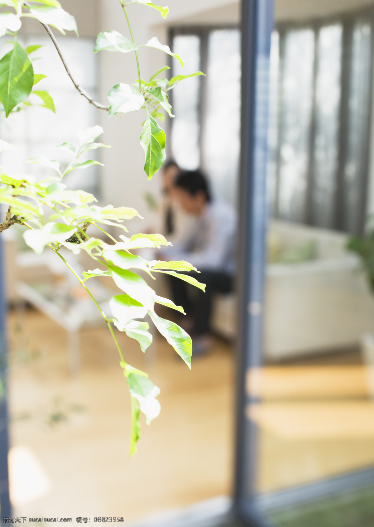 夫妻 家居 生活 时尚家居生活 盆栽 绿色植物 沙发 抱忱 家居生活 摆设 毯子 时尚 生活百科 茶几 落地灯 平板电视 客厅 生活素材 生活场景摄影 年轻夫妻 室内设计 环境家居