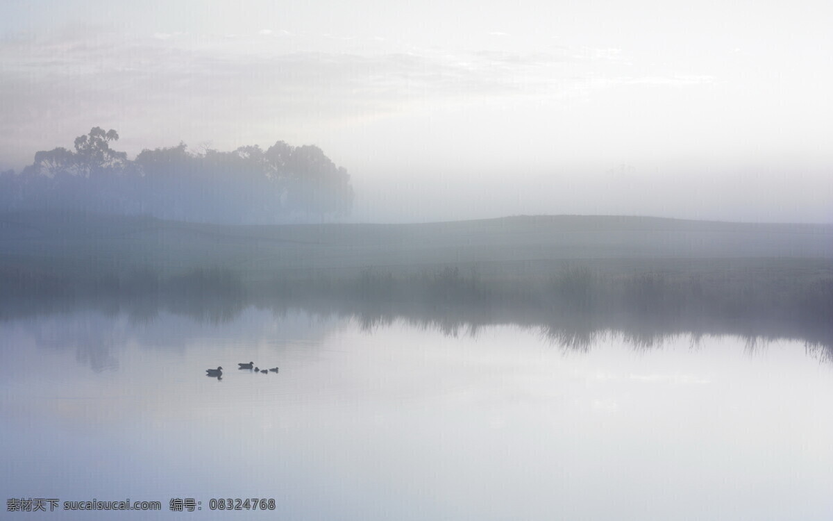 水墨风景 水墨 风景 湖水 平静 静谧 雾 淡雅 自然风景 自然景观