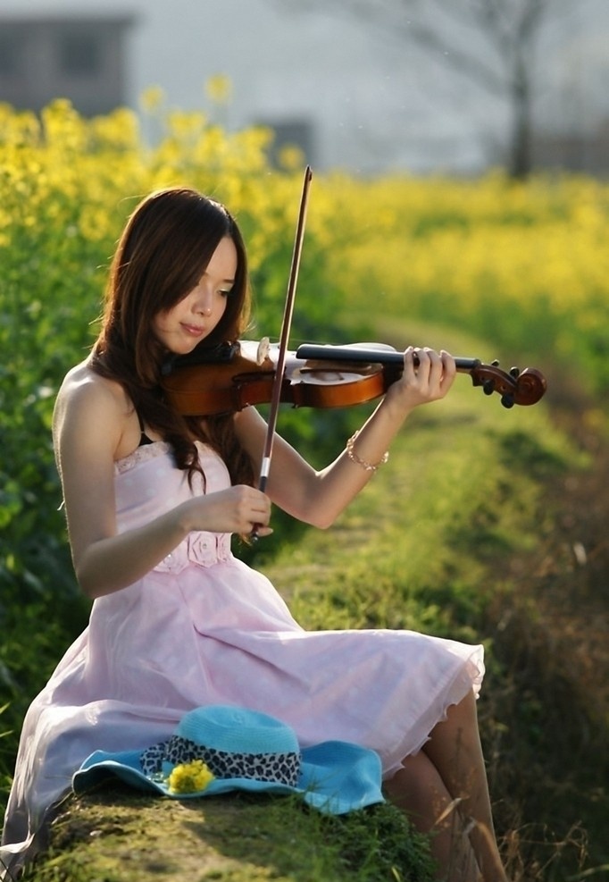 拉 小提琴 美女 摄影图库 人物图库 人物摄影 模特 写真 油菜花