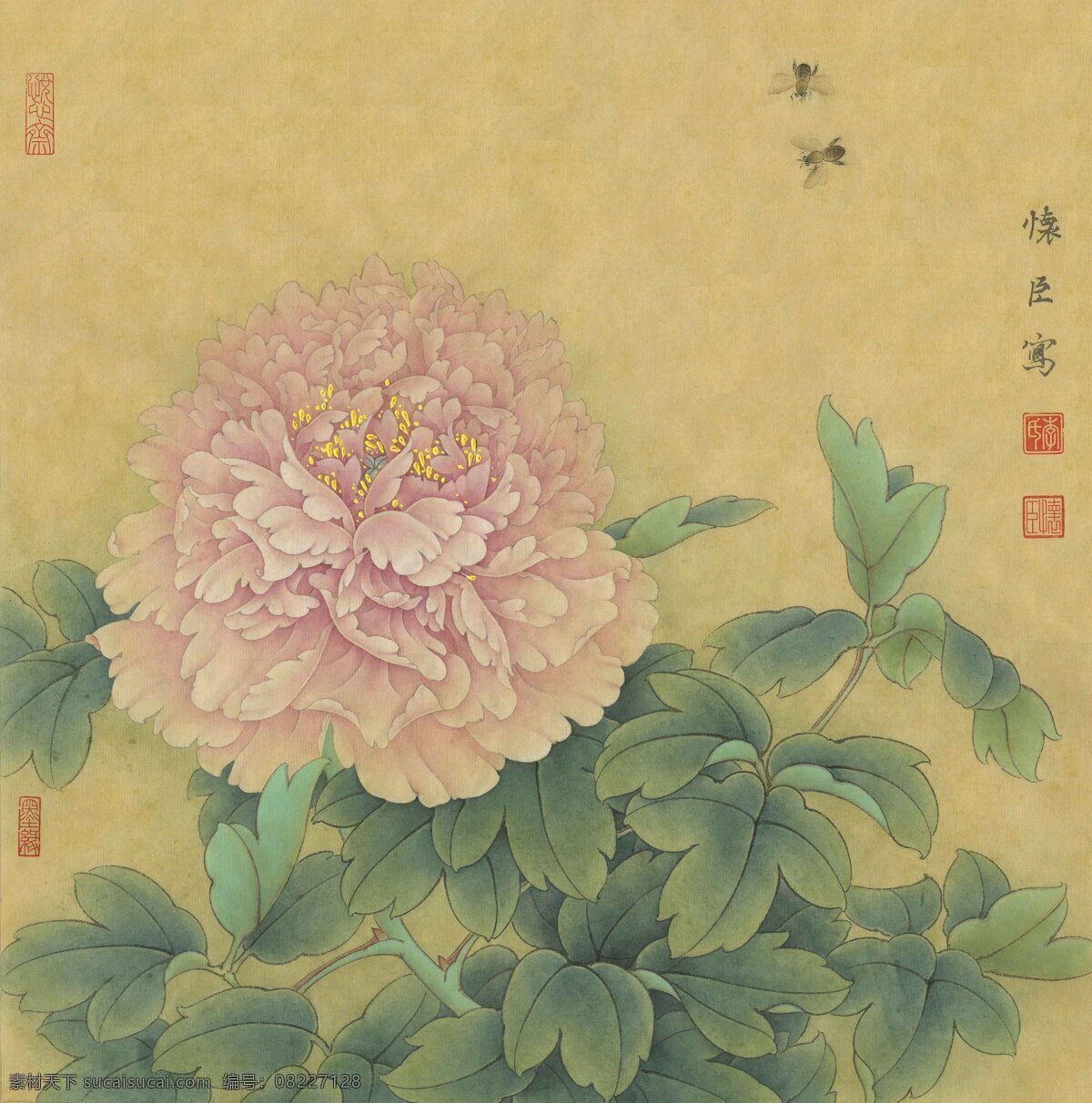 赵粉 工笔牡丹 牡丹花 国画牡丹 水墨牡丹 牡丹挂画 牡丹墙纸 古画 国画 文化艺术 绘画书法