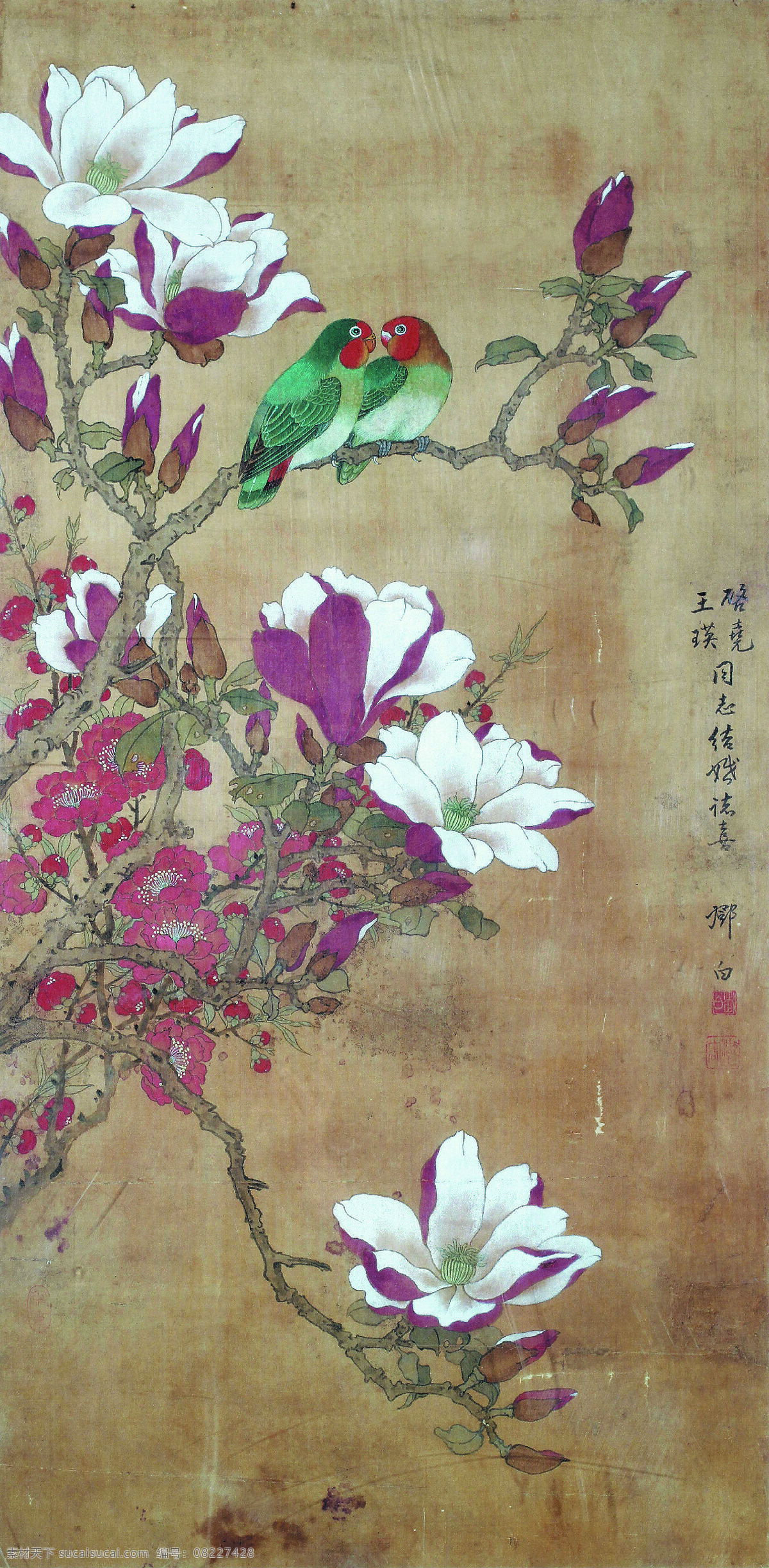 玉兰双禽图 美术 中国画 彩墨画 花鸟画 玉兰花 鸟儿 国画集129 文化艺术 绘画书法