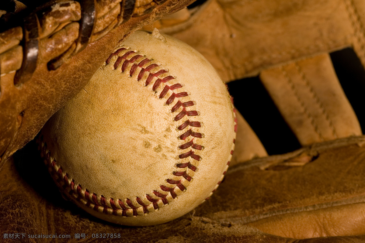 皮夹 袋 里 棒球 体育器材 运动员 体育比赛 体育运动 体育项目 生活百科