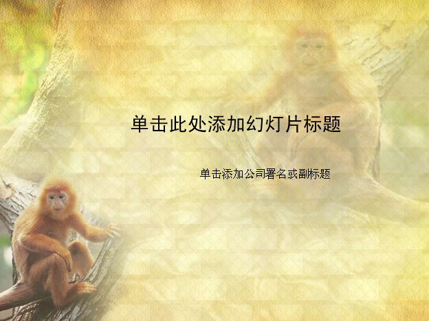 可爱 金丝猴 动物 模板 封面