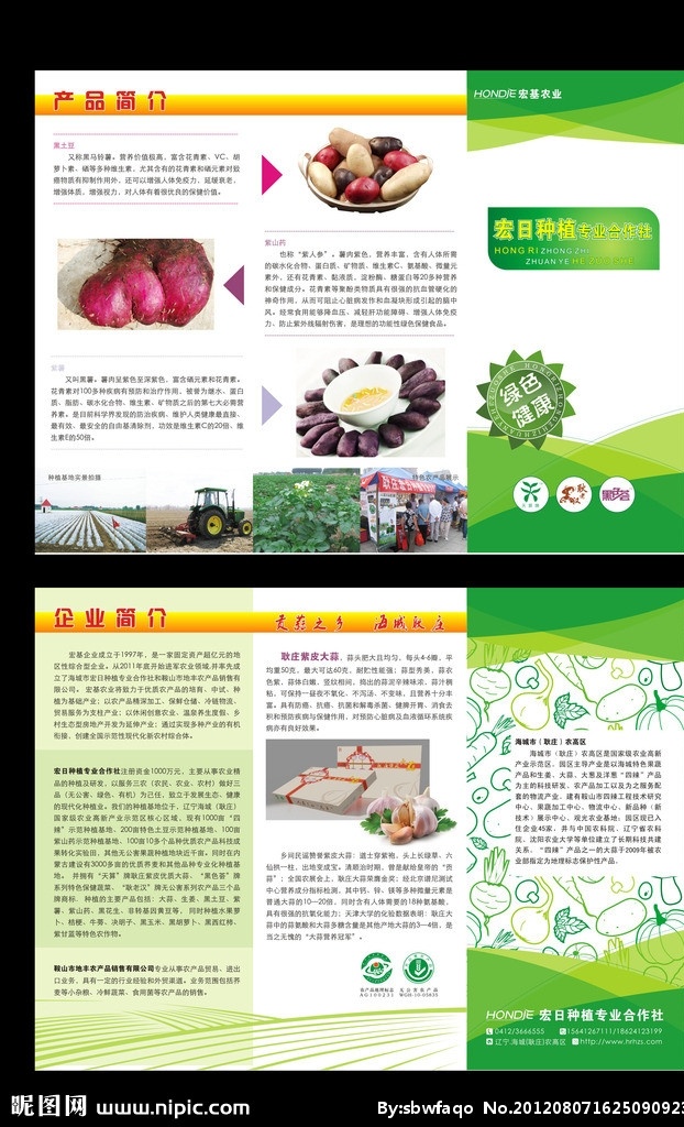 宏 日 农业 薯类 农产品 简介 折页 宏日 绿色 健康 无公害 生态 环保 紫色 拼贴 蔬菜 五谷 果实 黑色荟 食材 食品 食物 包装 宣传 形象 定制 农作物 土豆 紫薯 黑蒜 生姜 南瓜 洋葱 蘑菇 黑豆 胡萝卜 叶子 印刷品 三折页 紫山药 黑土豆 耿庄紫皮大蒜 贡蒜 天蒜 矢量卡片 矢量