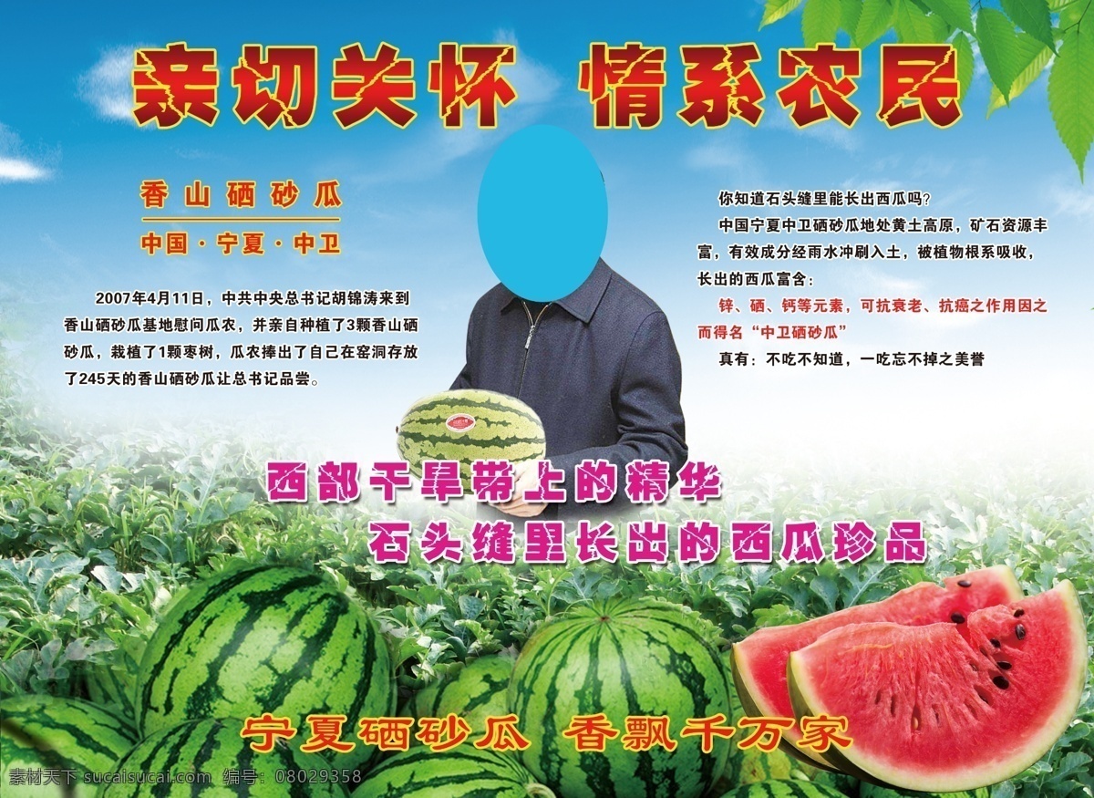 硒砂西瓜 领导关怀图片 西瓜 硒砂瓜 石头瓜 硒砂