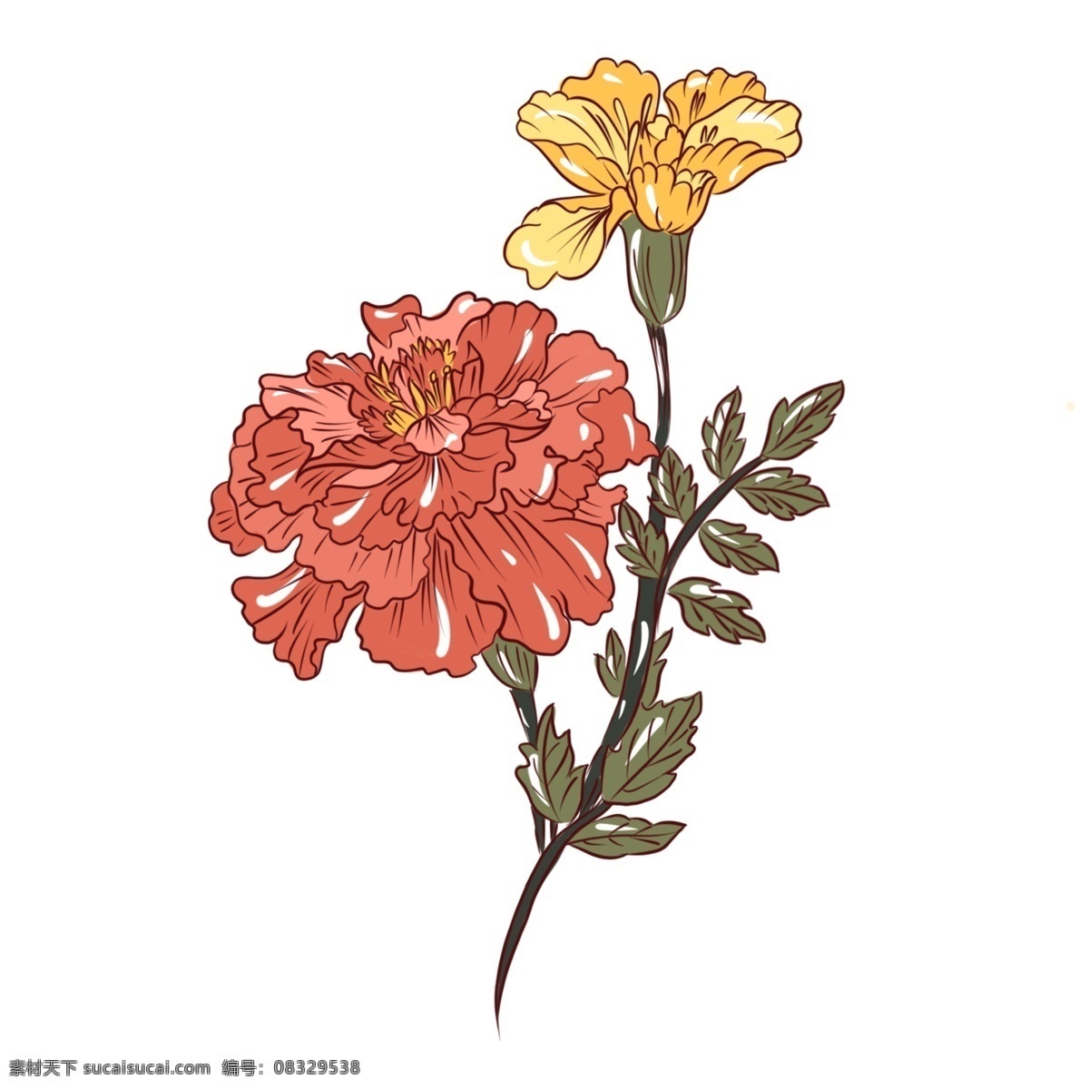 手绘 植物 花 传统 花卉 商用 手绘花 手绘植物 花束 传统花卉