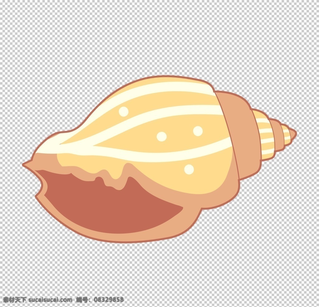 卡通贝壳图片 透明底贝壳 小贝壳 png图 贝壳免扣图