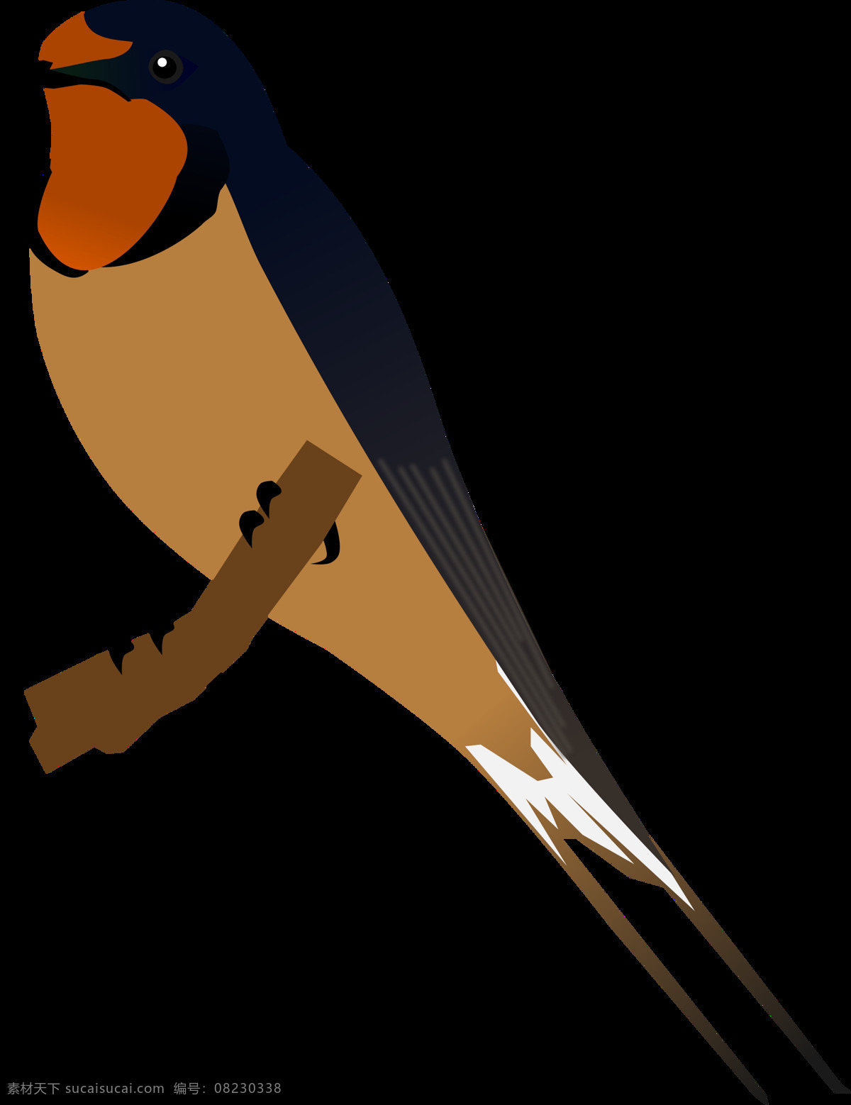 小燕子 卡通燕子 手绘燕子 鸟 小鸟 鸟类 动物 生物世界