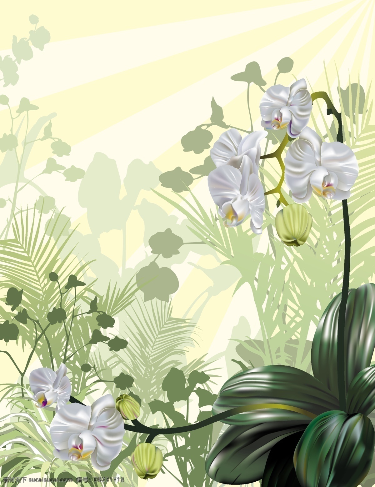 兰花 花朵 花草 花卉 矢量素材 植物 矢量兰花 矢量图 其他矢量图