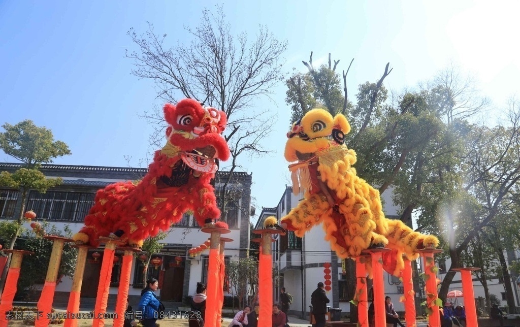 舞狮 斗狮 农村 民宿 狮子 乡村 威武的狮子 文化艺术 传统文化