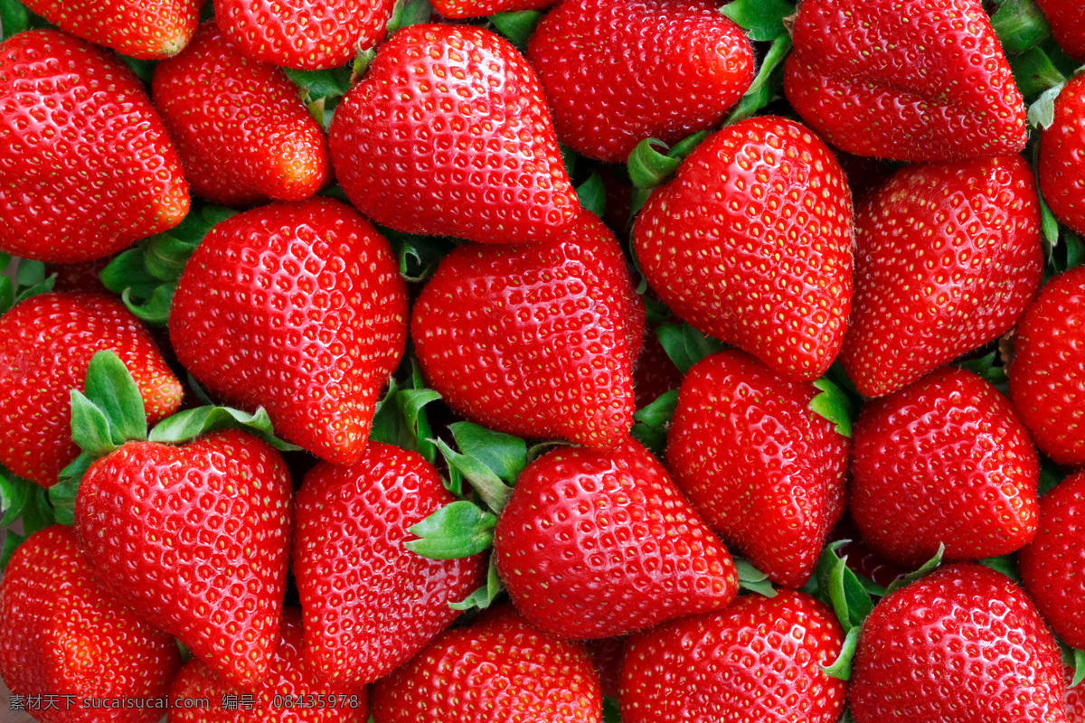 草莓 草莓图片 红色草莓 奶油草莓 双流冬草莓 红草莓 甜 水果 浆果 背景 标签 草莓素材 草莓棚拍 草莓背景图片 草莓设计 餐饮美食 食物原料