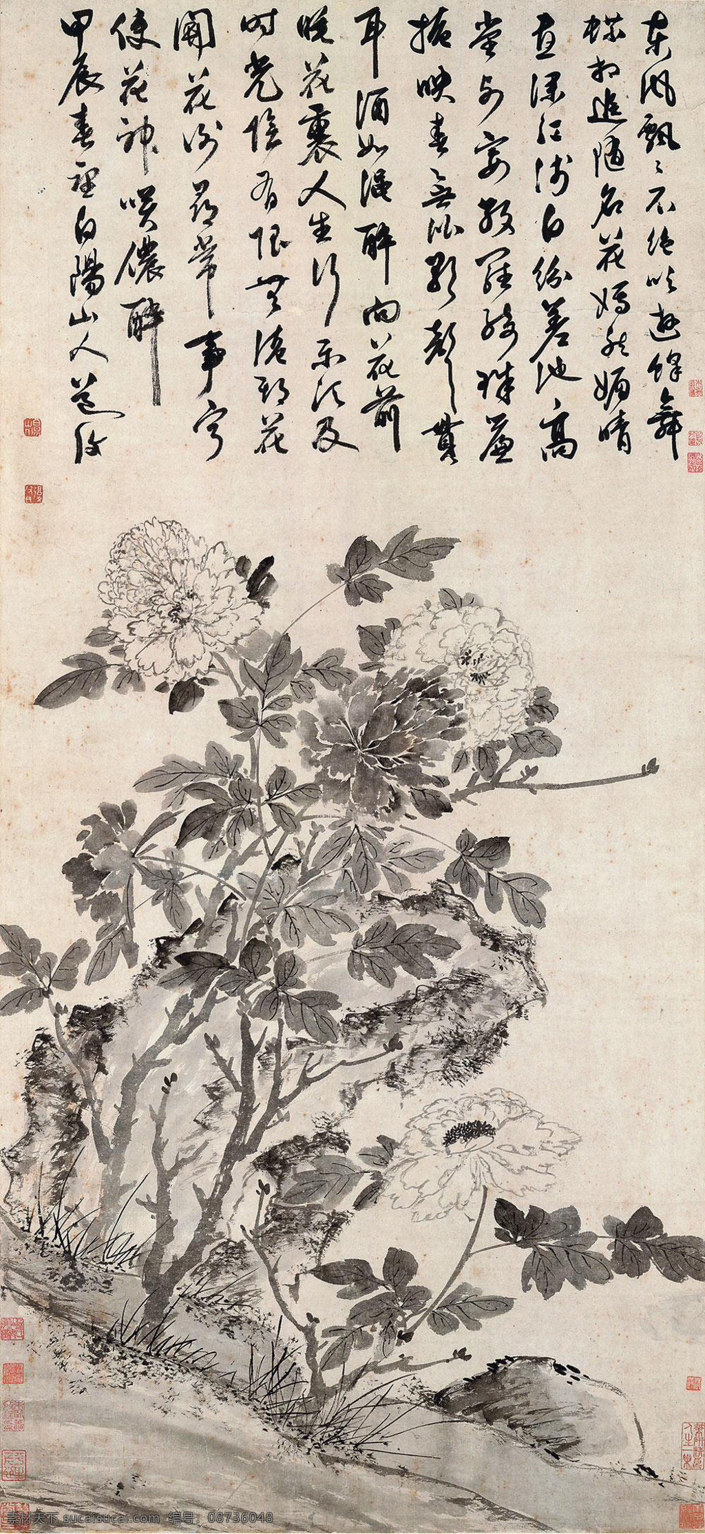 牡丹 陈淳 绘画书法 文化艺术