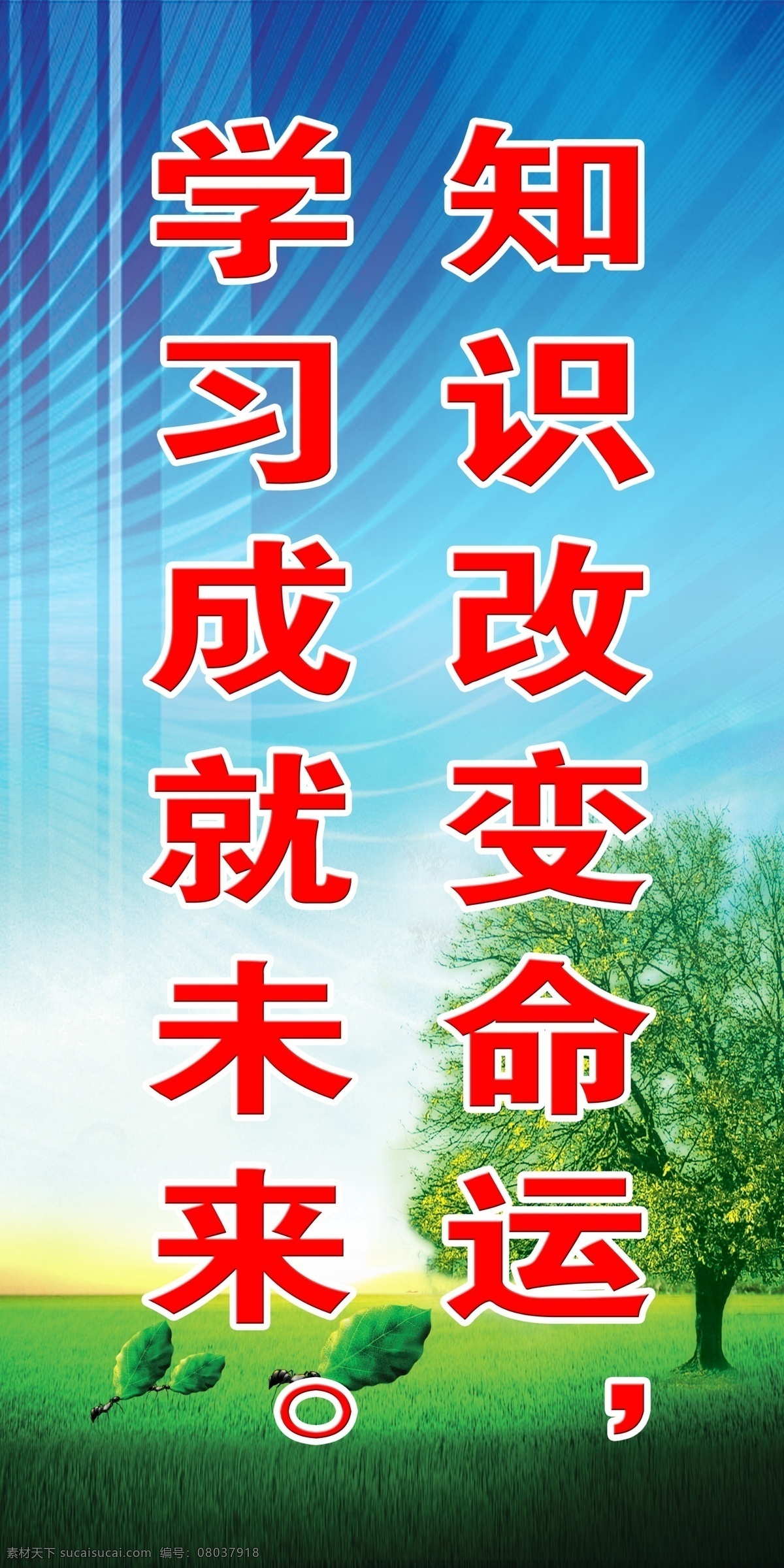 学校 企业 展板 分层 草地 绿树 天空 未来 学习 源文件 知识 学校企业展板 命运 其他展板设计
