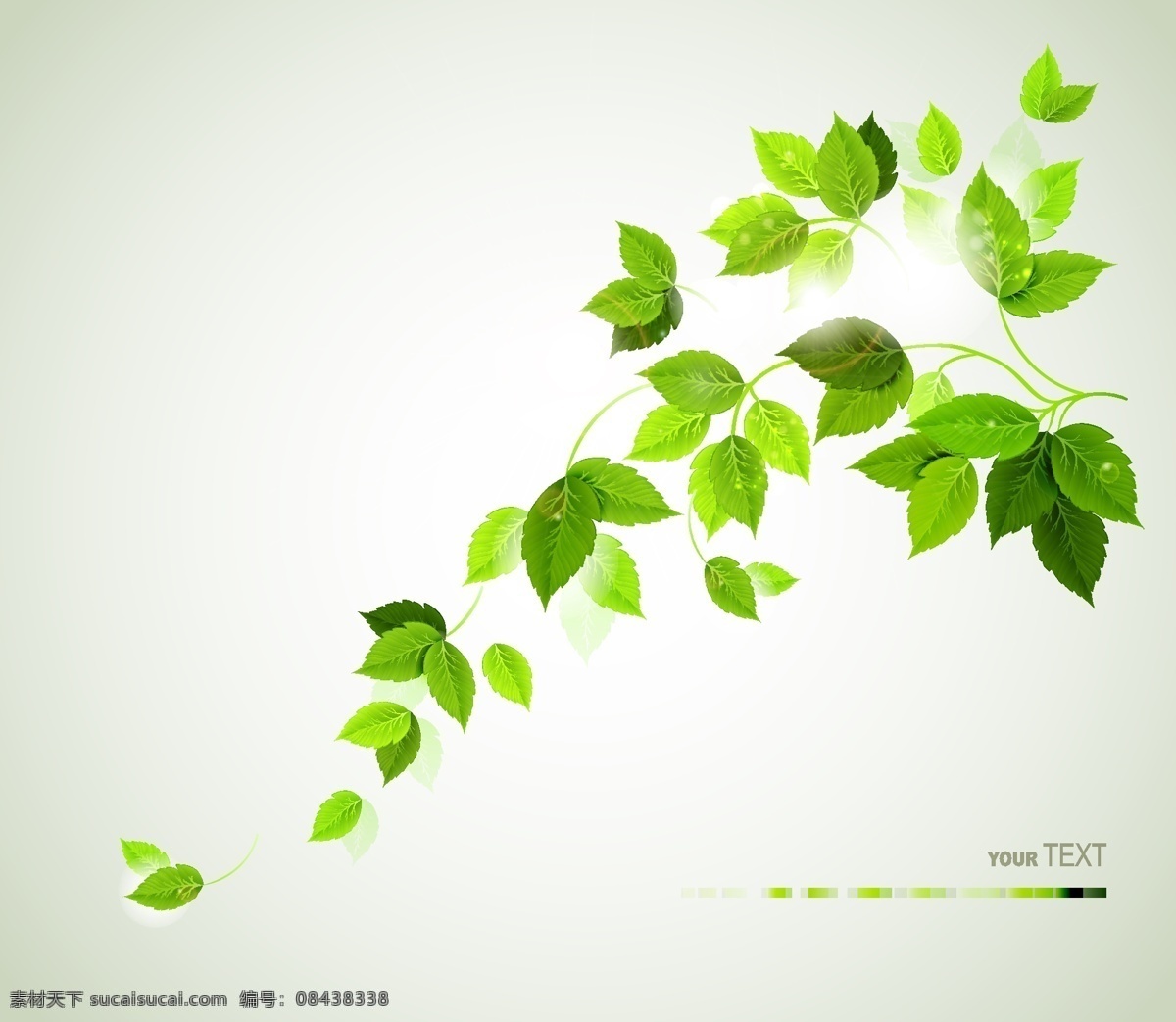 环保 绿色 简约 树叶 矢量 花卉 植物 花纹 底纹背景 源文件 下载素材 装饰背景 广告背景 平面设计素材
