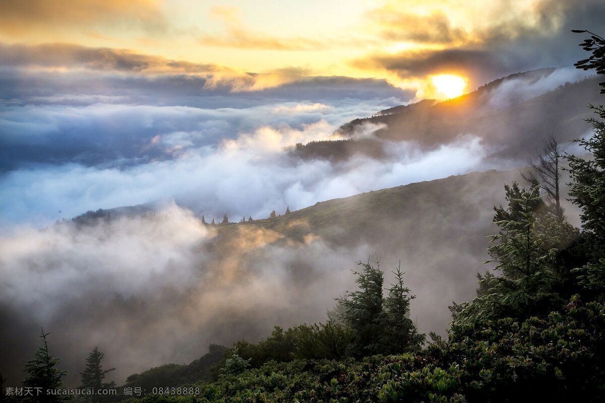 山丘 森林 雾 太阳 树 烟气 云 图片上传 自然景观 自然风景