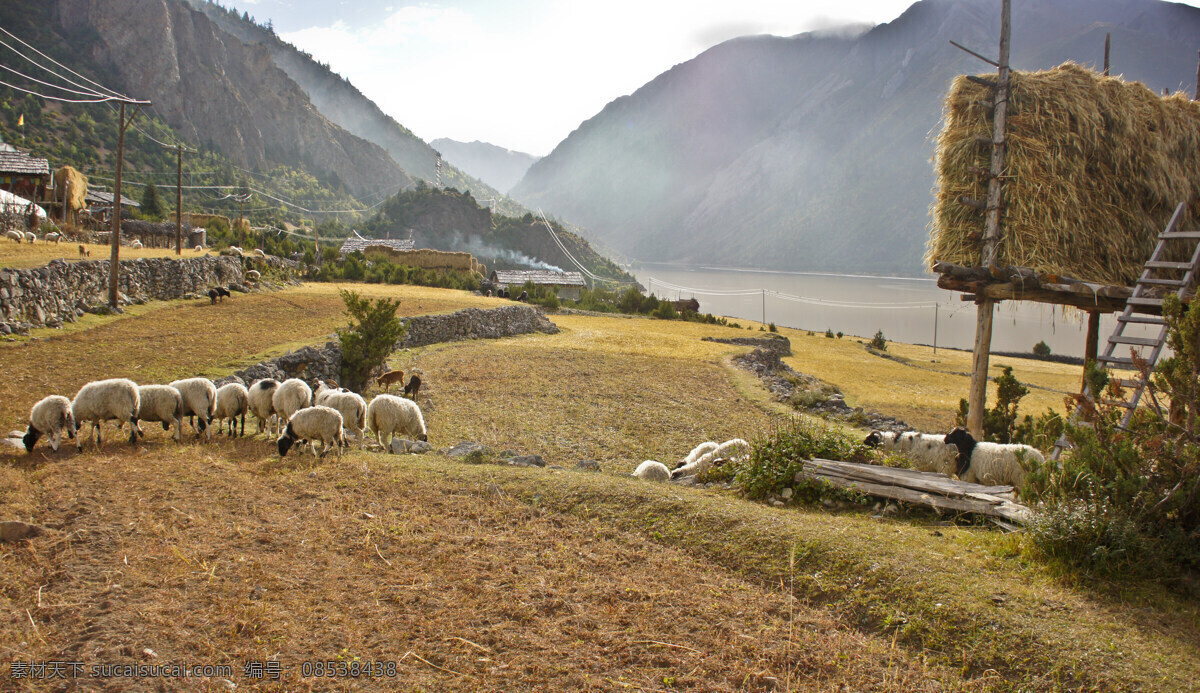 然乌湖 湖泊 农家风情 西藏 山峦 雾气 羊群 草地 自然风景 自然景观