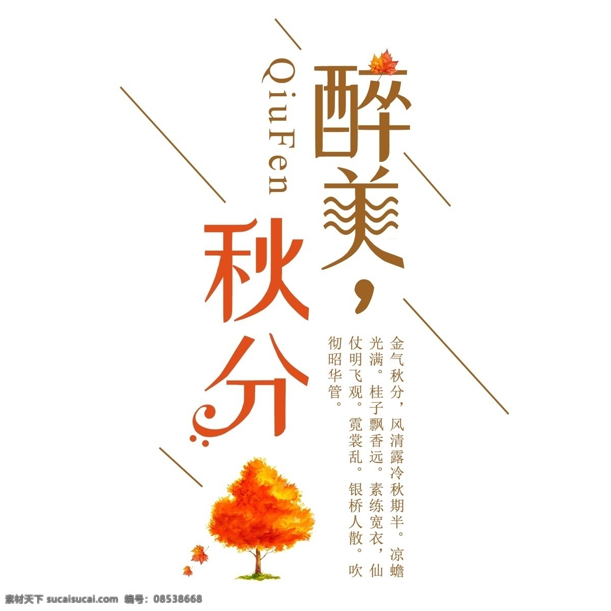 秋分 二十四节气 中国 传统 秋天 落叶 黄色 季节 枯叶 千 库 原创