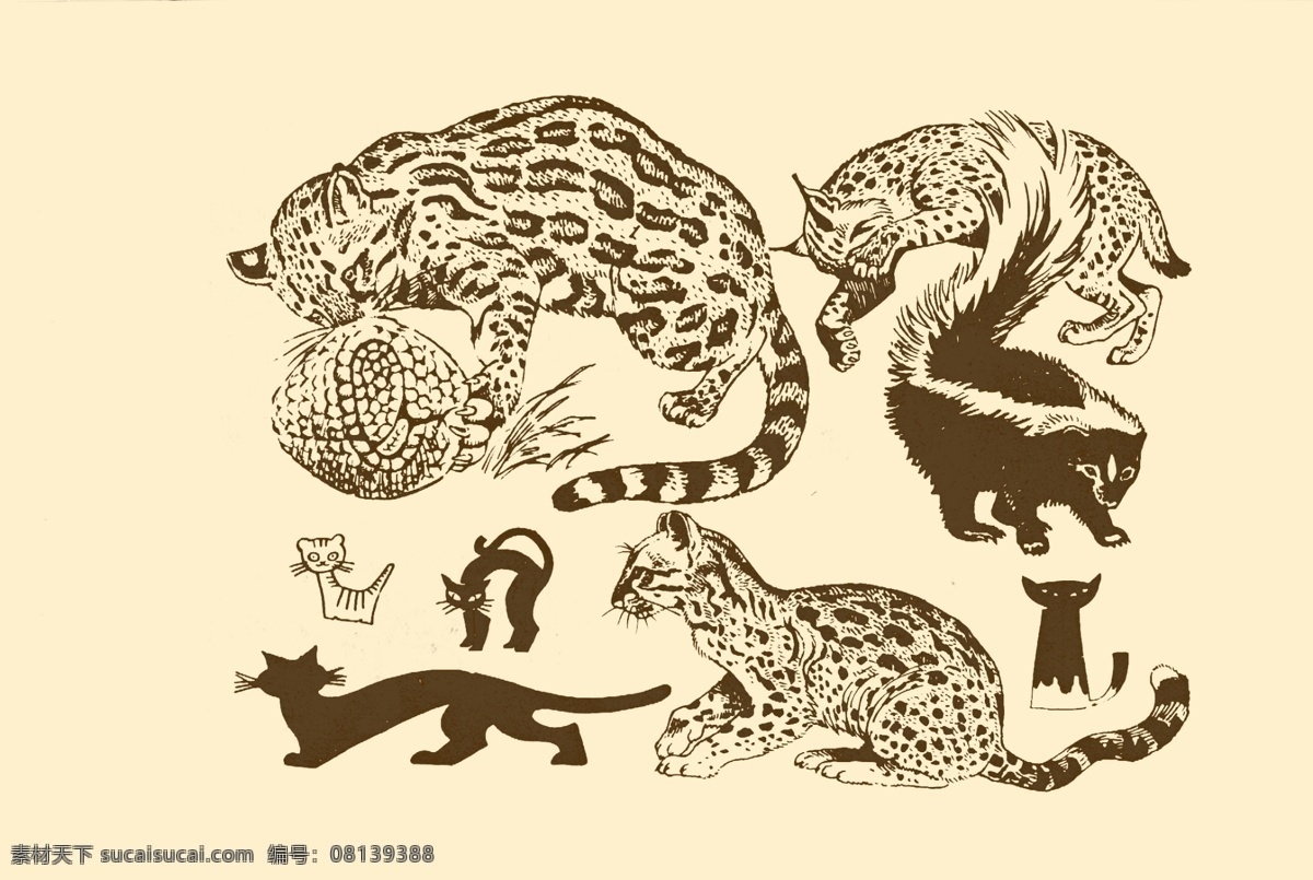 动物图案 猫 卡通 动物 纹样 图案 白描 简笔画 儿童画 猫科动物 分层 源文件