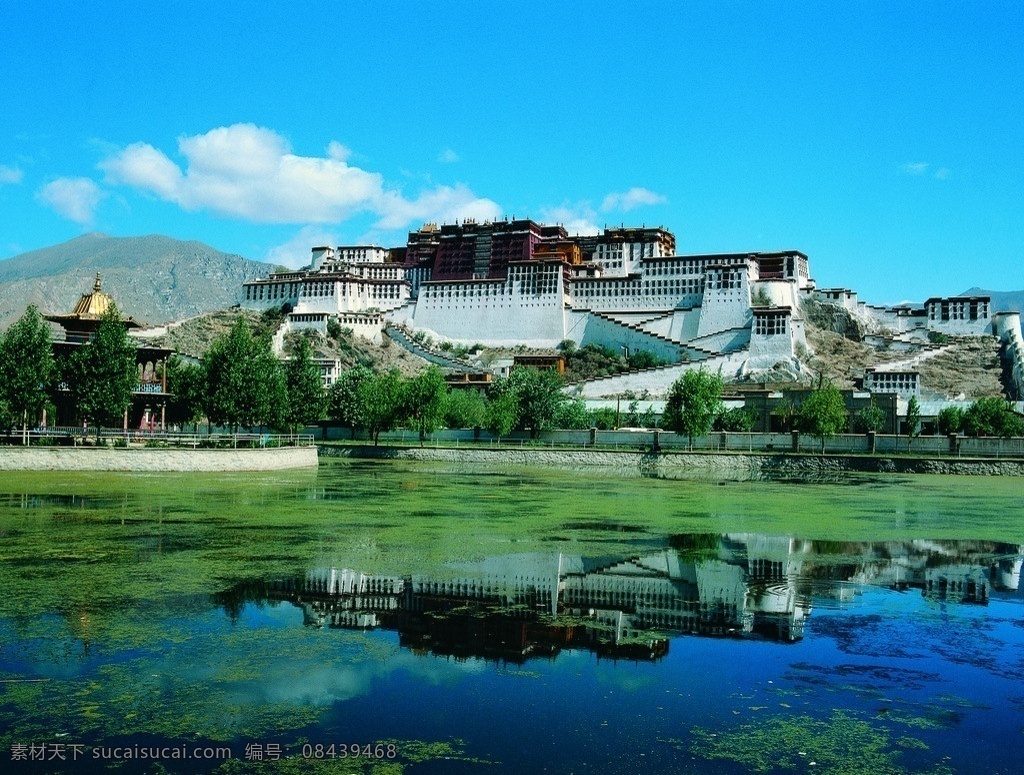 布达拉宫全景 布达拉宫 全景 风景 蓝天 白云 湖水 植物 山脉 风景名胜 自然景观