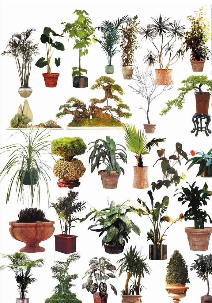 修图绿植 植被 草 绿化 绿植 计素材 地产 盆栽 地产广告 园林 绿色 风景 草坪 花卉 绿化带 景观 家装素材