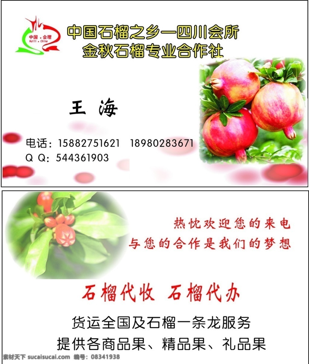 石榴 石榴名片 石榴素材 名片卡片 矢量
