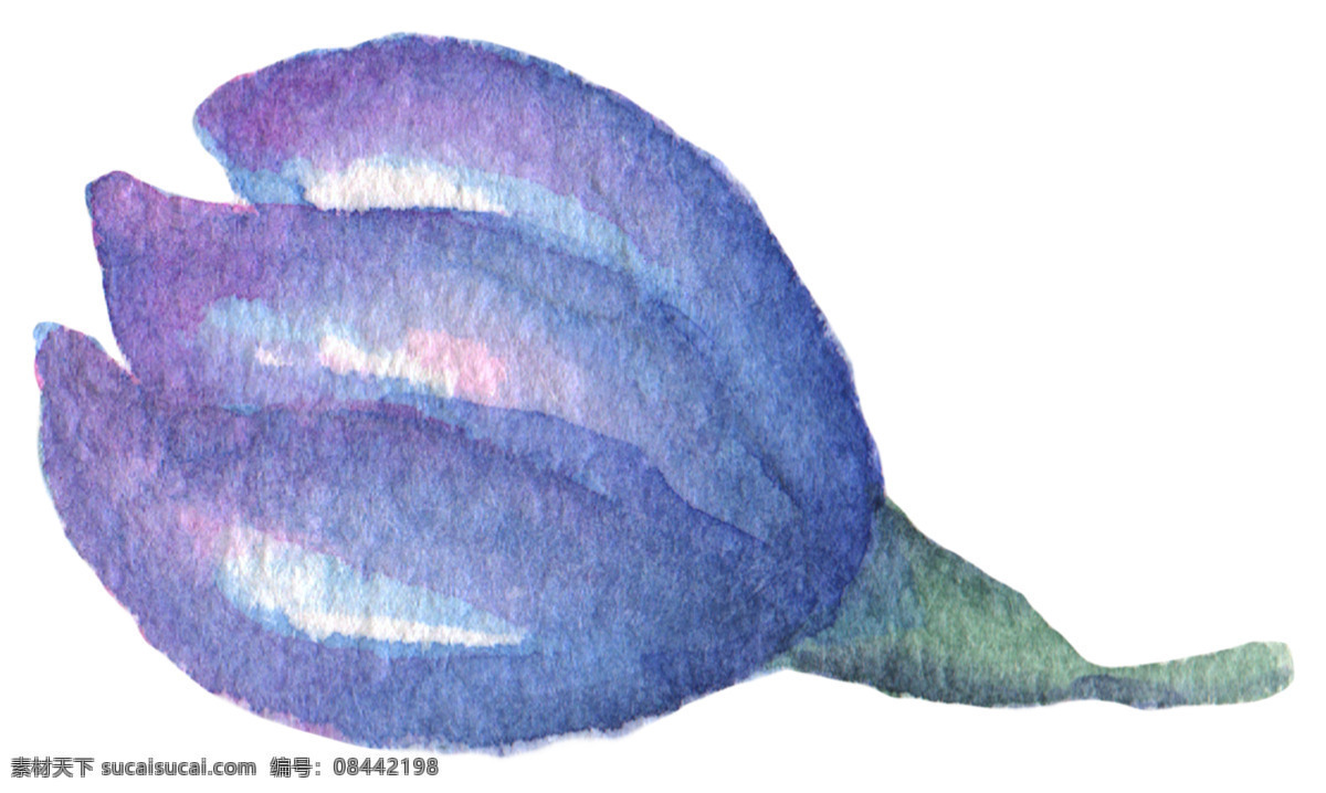 紫色 大 花瓣 花束 大花瓣 淡雅 红色