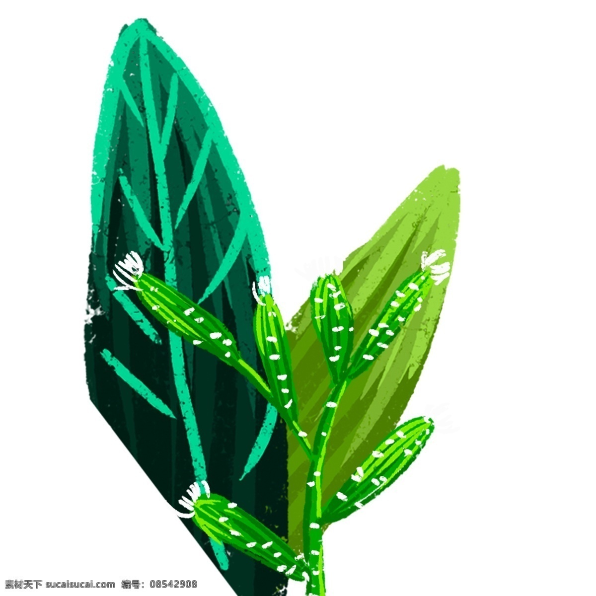 叶子 春天 植被 图案 春天植被图案 美丽的花 大叶子 大自然 小清新 树叶子 夏天 插画