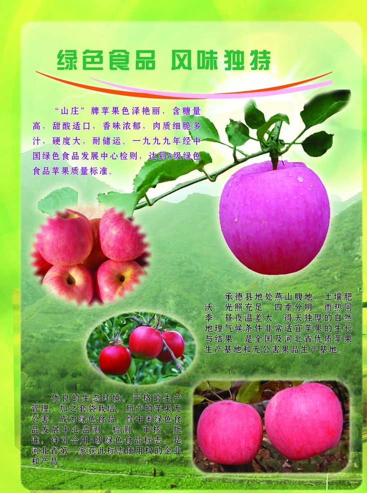 绿色食品苹果 优质苹果 苹果图片 苹果展板 青苹果 苹果标签 苹果宣传单 水果苹果 农业