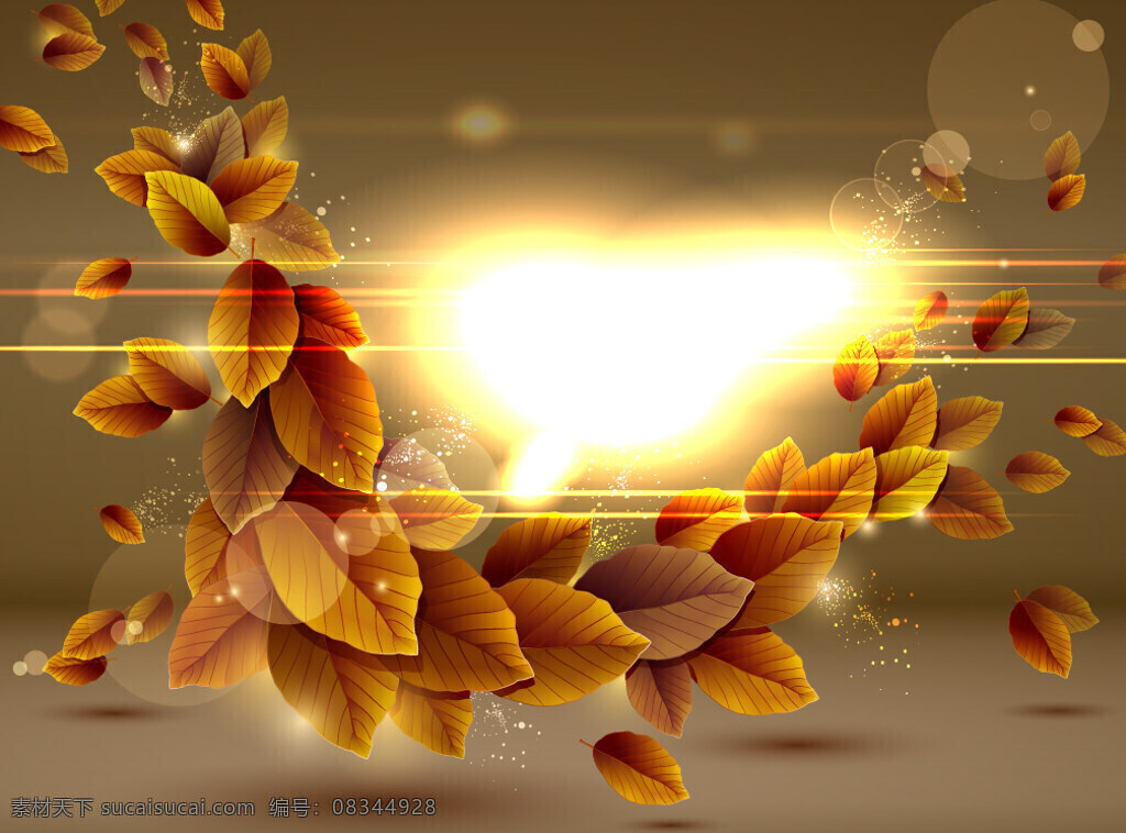 绚丽 落叶 背景 秋天的落叶 金秋背景图 背景图片