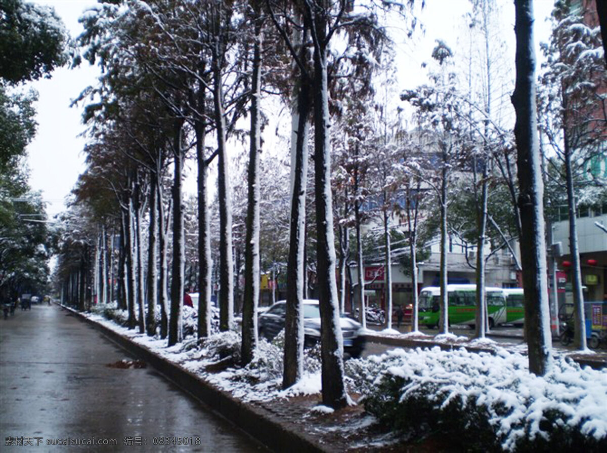道路 雪景 白雪 马路 树木 洁白 风景 生活 旅游餐饮