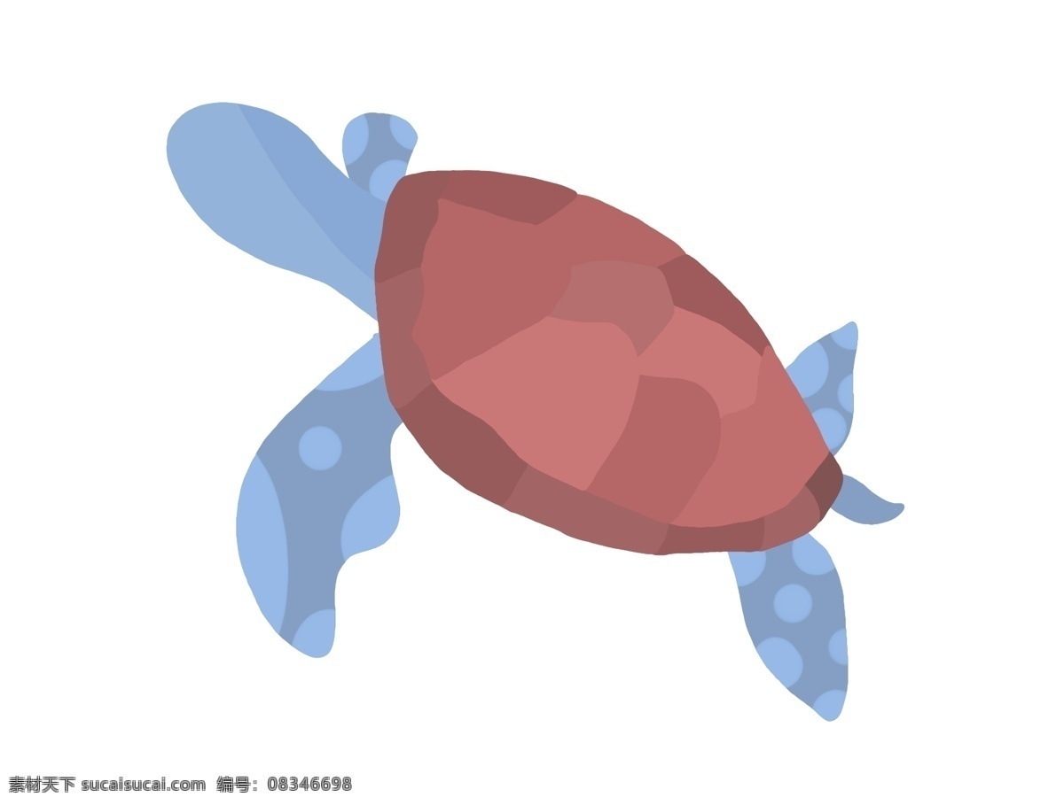 蓝色 海龟 生物 装饰 爬行 盖子