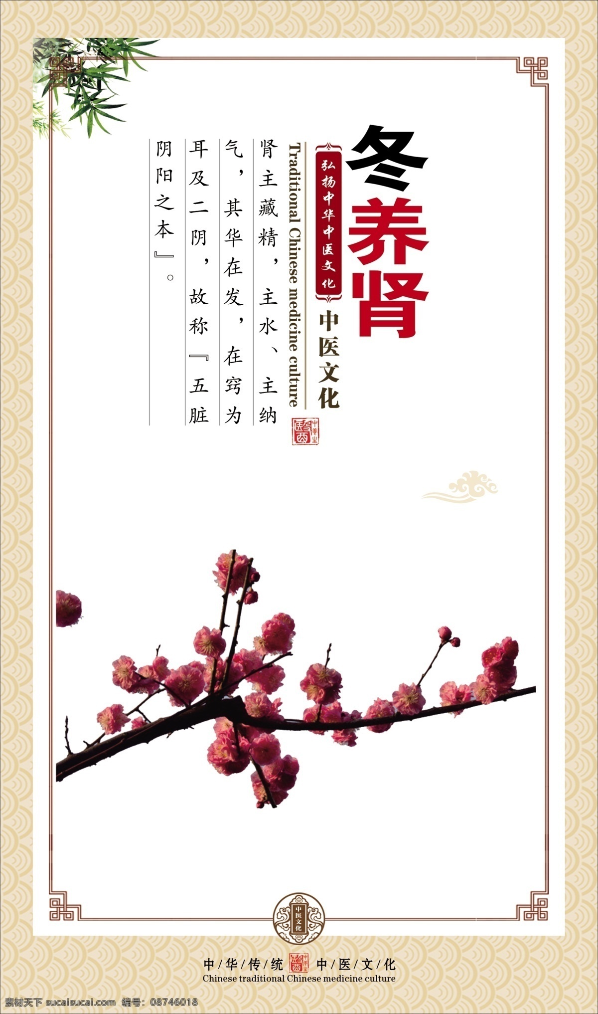 冬养肾 中医 草药 中药 知识 挂图 宣传 展板 贴画