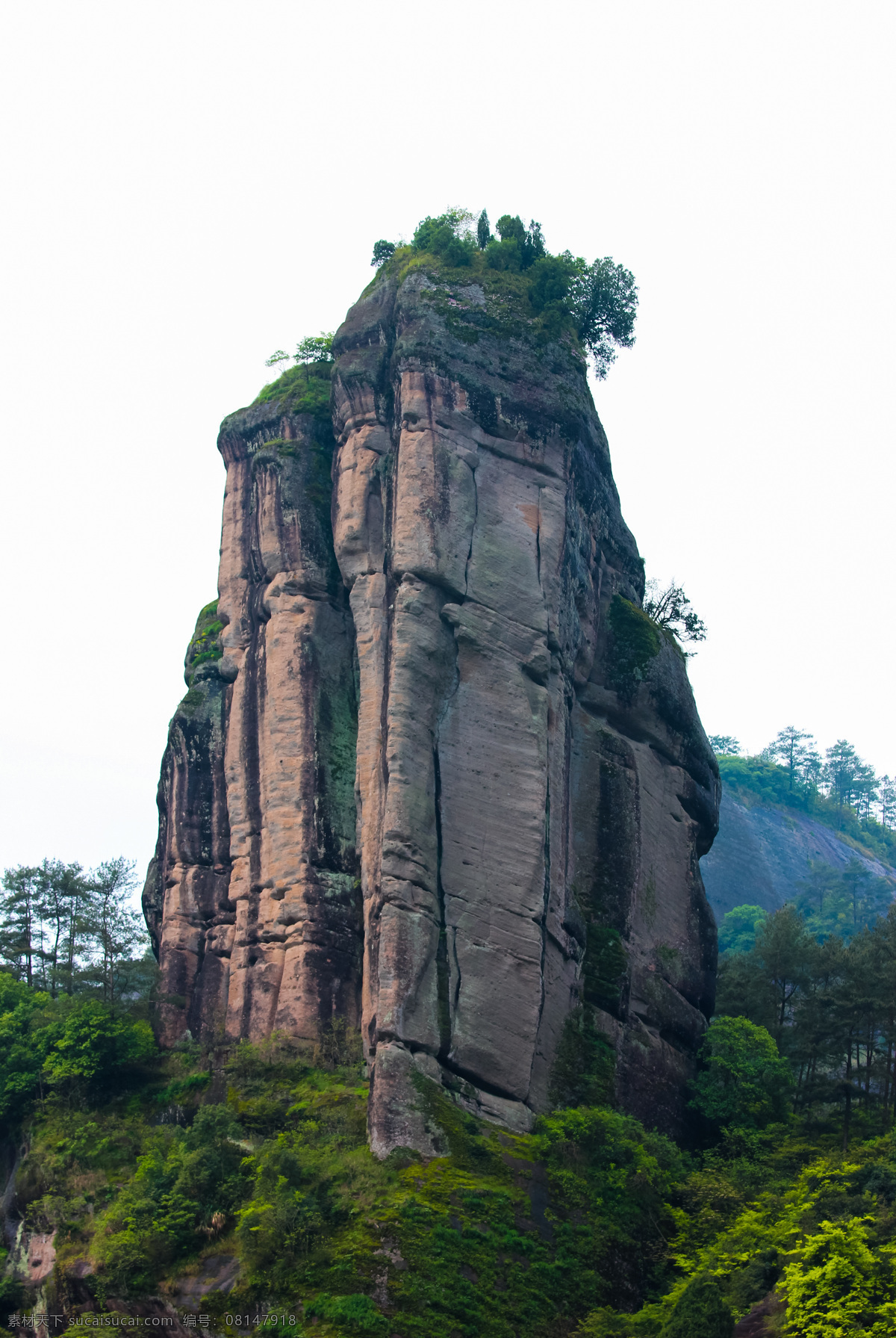 武夷山 福建 九曲 石刻 石壁 漂流 山谷 文字 文人 雕刻 森林 溪流 石亭 峭壁 竹筏 竹竿 撑杆 玉女峰 大王峰 镜台 武夷精舍 大红袍 水帘 洞 鲤鱼 卧龙潭 岩茶 旅游摄影 国内旅游