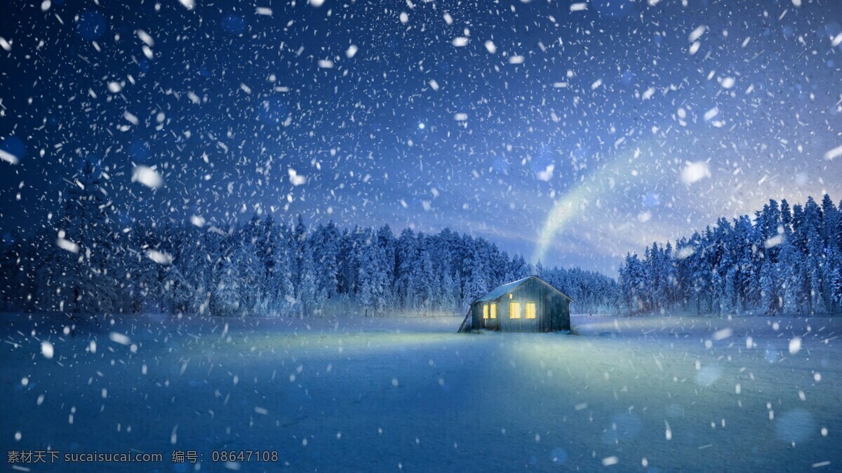 雪地 森林 极光 下雪夜 自然景观