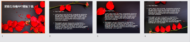 爱情 红玫瑰 模板 玫瑰花 植物 模板下载 幻灯片