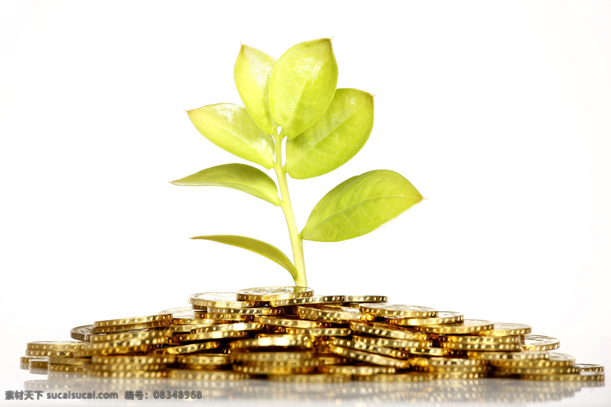 绿叶 硬币 钱 金钱 黄金 金色 钱币特写 硬币素材 金融 金币 幼苗 金融货币 商务金融