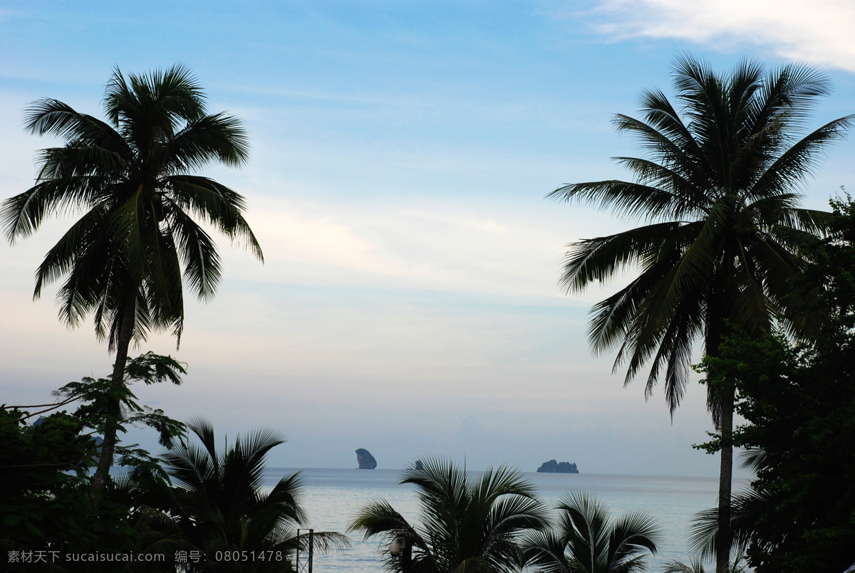 椰林 树影 国外旅游 海滩 旅游摄影 泰国 椰林树影 甲米 psd源文件