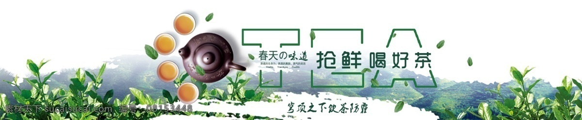茶园 清新绿色 春天的味道 抢先喝好茶 白色