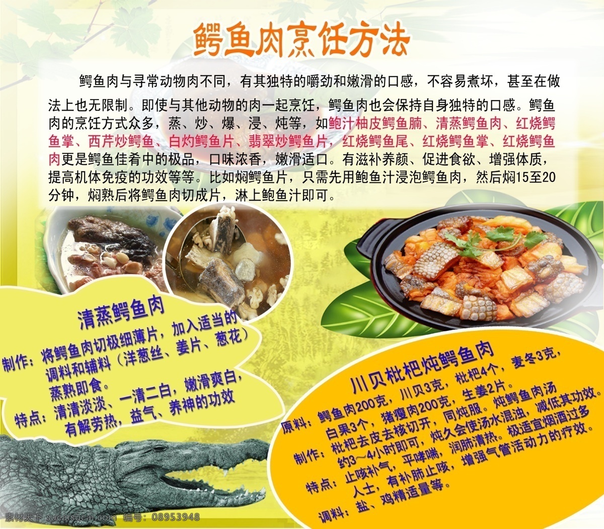 鳄鱼 肉 烹饪 方法 锷鱼 熟食制作方 海报 菜单 菜单菜谱 广告设计模板 源文件