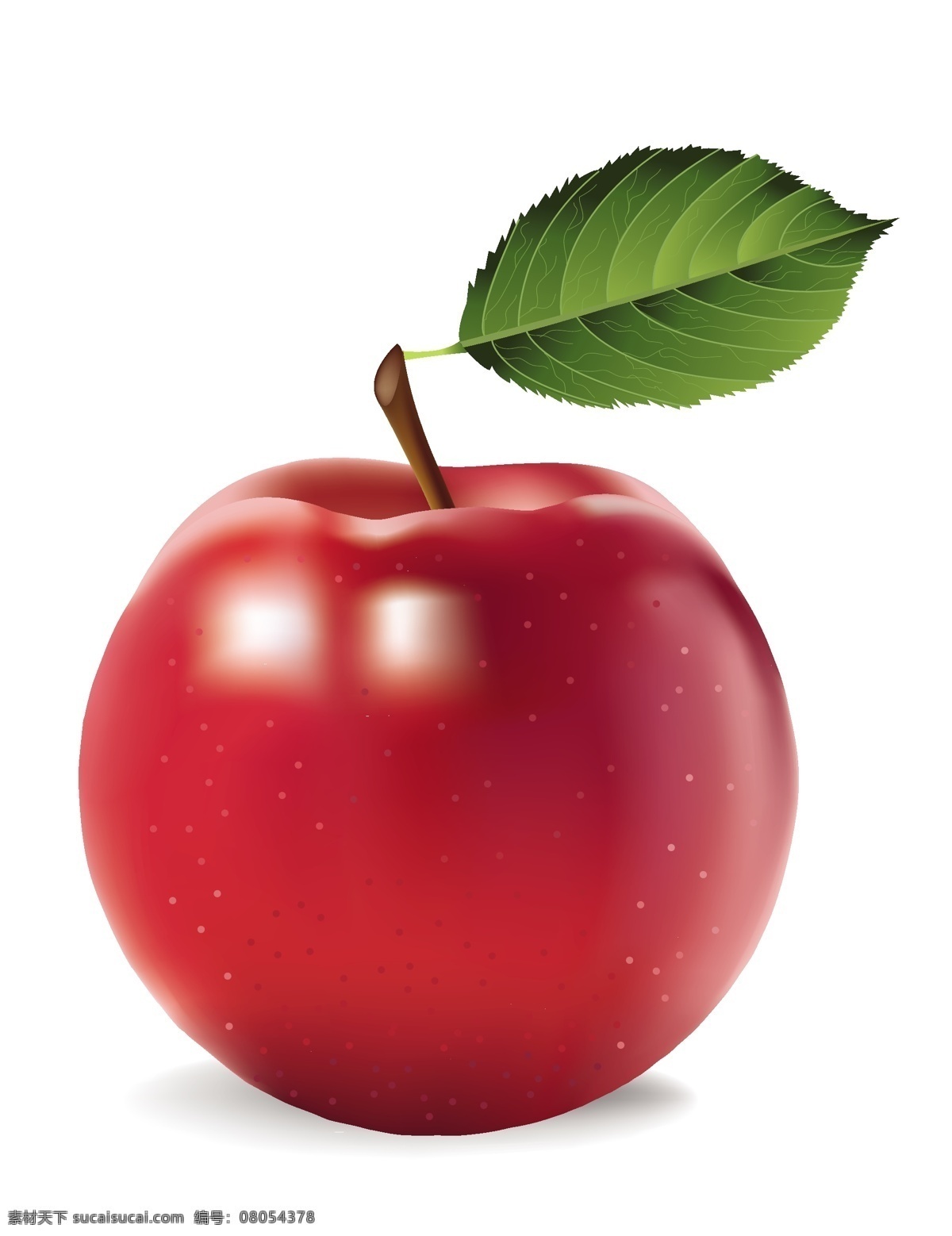 苹果免费下载 红苹果 苹果 矢量苹果 新鲜水果 红润的大苹果 矢量图 其他矢量图