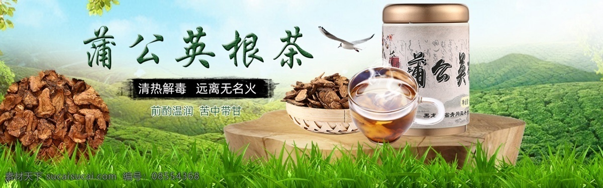 蒲公英 根 茶 海报 蒲公英根茶 装修海报 装修首页 蒲公英模版 蒲公英素材 淘宝详情页 分层