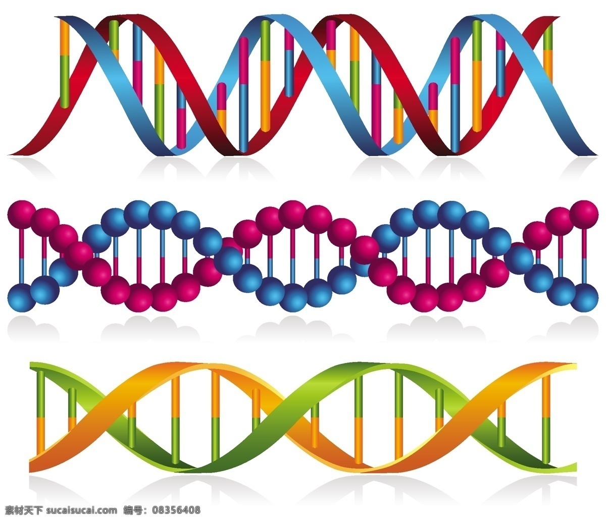 dna 科学 医学 生物 生物化学 生物学 技术细胞 化学 铬染 色体 克隆 代码 进化