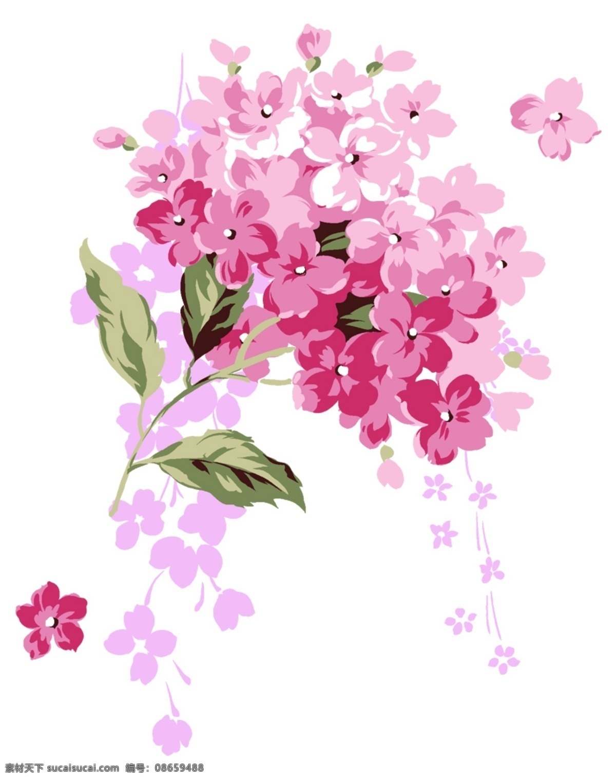 手绘 鲜花 bmp 白底 文化艺术